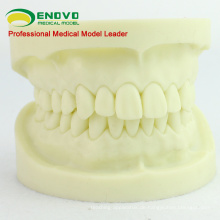 VERKAUFEN 12564 Zahn vorbereitete Praxis Dental